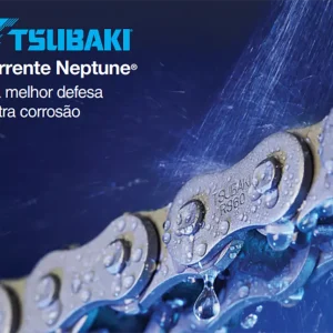 CORRENTE NEPTUNE Tsubaki copy